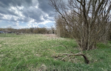 Eladó telek/földterület