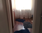 Eladó lakás Budapest XXI. ker 60 000 000 Ft