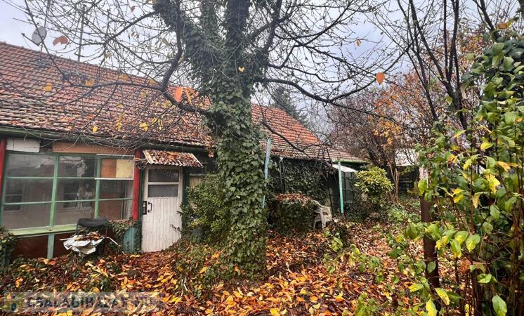 Belváros szívében                                 