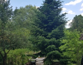 Eladó családi ház Zalaszentgrót 38 500 000 Ft