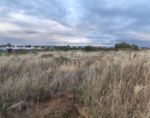 Eladó telek/földterület Berhida 18 500 000 Ft