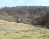 Eladó telek/földterület Alsónemesapáti 55 000 000 Ft