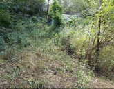 Eladó telek/földterület Isaszeg 11 950 000 Ft