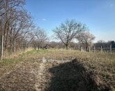 Eladó telek/földterület Tök 29 900 000 Ft