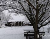 Eladó családi ház Debrecen 49 900 000 Ft