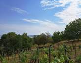 Panorámás terület - eladó MEZŐGAZDASÁGI TERÜLET BALATONFÜREDEN