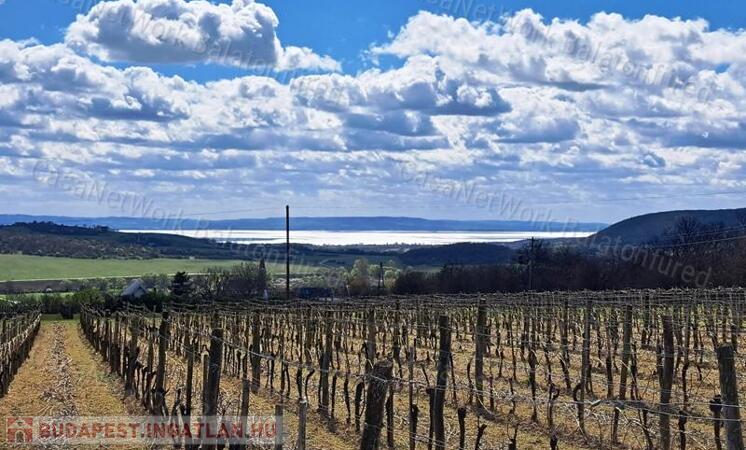 PANORÁMÁS, ÉPÍTHETŐ -eladó MEZŐGAZDASÁGI TERÜLET SZENTJAKABFÁN                                 