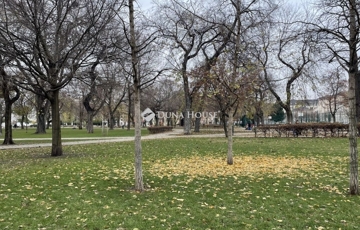 Eladó iroda/üzlethelyiség