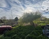 Eladó családi ház Tömörkény 17 900 000 Ft