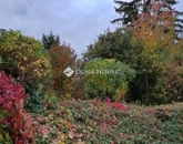 Eladó családi ház Pécs 39 990 000 Ft