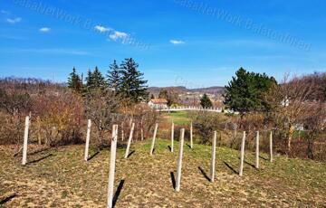 Eladó telek/földterület