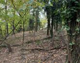 Eladó telek/földterület Kőszeg 59 500 000 Ft