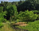 Eladó telek/földterület Kaposvár 6 000 000 Ft