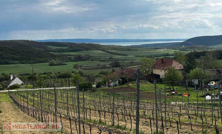 Eladó ÖRÖK PANORÁMÁS zártkert Óbudaváron! 3989nm!