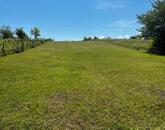 Eladó telek Zánka egyik legnyugodtabb részén!