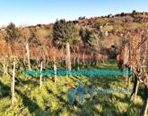 Eladó telek/földterület Zalaegerszeg 3 499 999 Ft