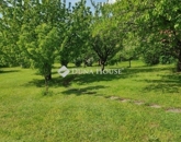 Eladó családi ház Lovasberény 129 000 000 Ft