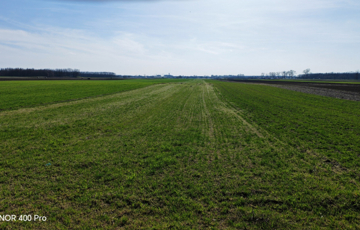 Eladó telek/földterület