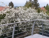 Eladó családi ház Budapest II. ker 299 000 000 Ft