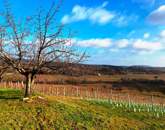 Tökéletes panorámás bővíthető nyaraló Balatonszőlősön