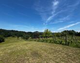 Eladó telek Zánka egyik legnyugodtabb részén!