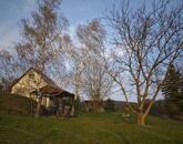 Eladó hangulatos nyaraló Felsőörsön