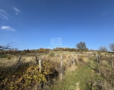 Eladó telek/földterület Csákvár 9 250 000 Ft