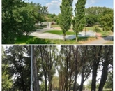 Eladó lakás Budapest XV. ker 84 000 000 Ft