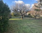 Eladó telek/földterület Balatonfüred 145 000 000 Ft