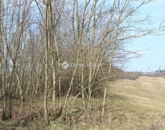 Eladó telek/földterület Alsónemesapáti 55 000 000 Ft