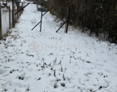 Eladó telek/földterület Tiszapüspöki 9 500 000 Ft