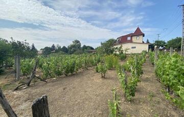 Eladó családi ház