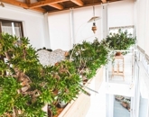 Eladó családi ház Pécs 170 000 000 Ft