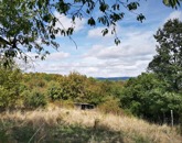 Eladó telek/földterület Dunabogdány 15 000 000 Ft