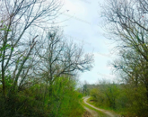 Építhető szőlő terület Balatonakali