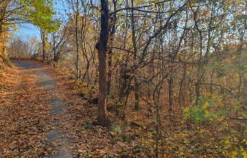 Eladó telek/földterület