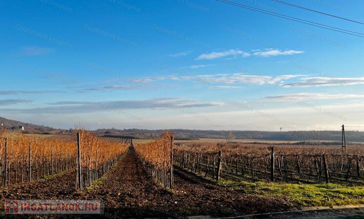 Eladó présház a gyönyörű Nivegy-völgyben, Szentantalfán!