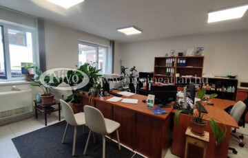 Kiadó ipari ingatlan