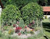 Vasadon lovastanya eladó!