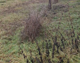 Eladó telek/földterület Székesfehérvár 49 900 000 Ft