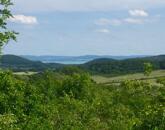 Részpanorámás szőlő terület