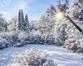 Eladó családi ház Budapest II. ker 475 000 000 Ft