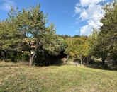 Eladó telek/földterület Szentendre 57 500 000 Ft