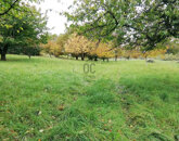 Eladó telek/földterület Zalaegerszeg 10 000 000 Ft