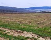 PANORÁMÁS SZŐLŐ A NIVEGY-VÖLGY SZÍVÉBEN SZENTJAKABFÁN