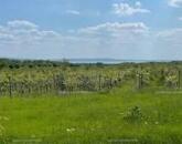 Részpanorámás terület