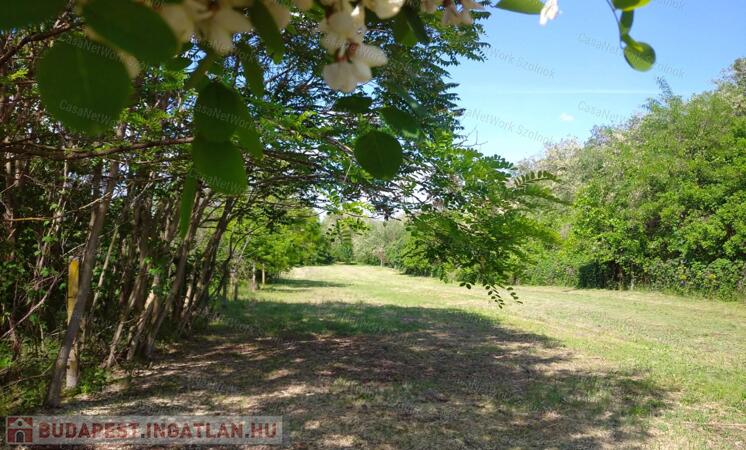 Cibakházán eladó mezőgazdasági terület!                                 