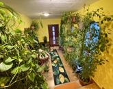 Eladó családi ház Ráckeve 74 900 000 Ft