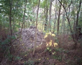 Eladó telek/földterület Farmos 2 500 000 Ft