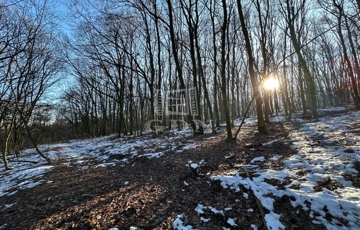 Eladó telek/földterület